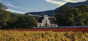 Wine Tasting in the Constantia Winelands - Cape Town Wine Tour
