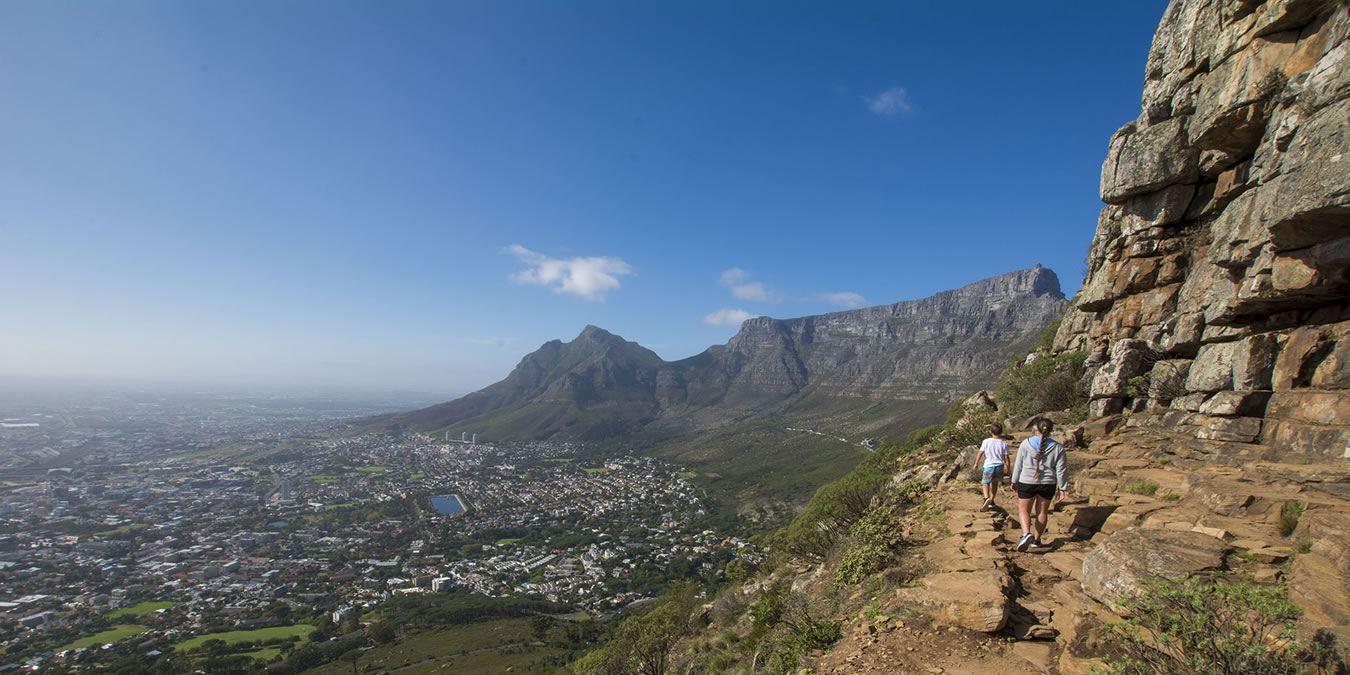 guided tours in cape town