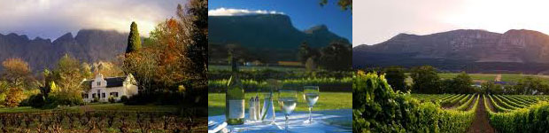 Constantia Winelands - Cape Town Wine Tasting